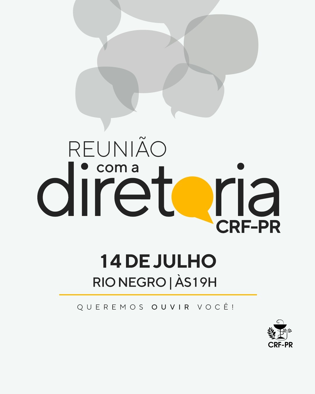 Reunião com a Diretoria em Rio Negro