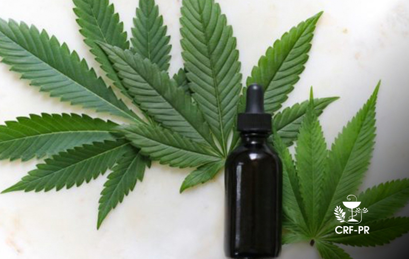 WhatsApp Image 2025-09-26 at 17.12.30.jpeg